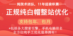 野狼SEO服務(wù)介紹