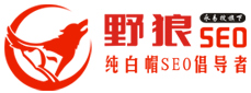 鄭州網(wǎng)站優(yōu)化公司-SEO外包、快照排名推廣服務(wù)-野狼SEO團(tuán)隊(duì)