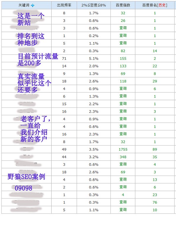 seo案例
