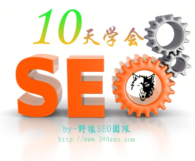 10天學(xué)會(huì)seo