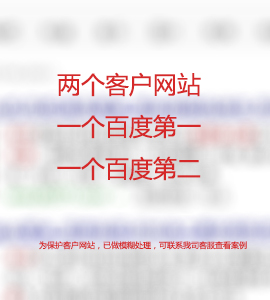 同一個(gè)關(guān)鍵詞，兩個(gè)網(wǎng)站排名首頁(yè)
