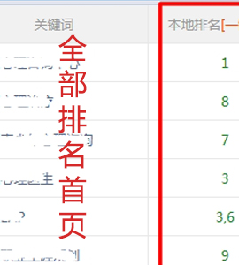 簡(jiǎn)單詞優(yōu)化，網(wǎng)站排名全霸占