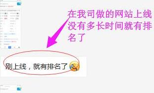 客戶好評：剛上線，就有排名了