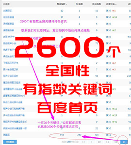 2600個(gè)全國(guó)性有指數(shù)關(guān)鍵詞排名首頁(yè)