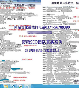 更多SEO案例，不方便展示，歡迎索取